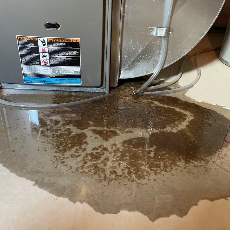 Appliance Leak Cleanup in Yancey County, NC